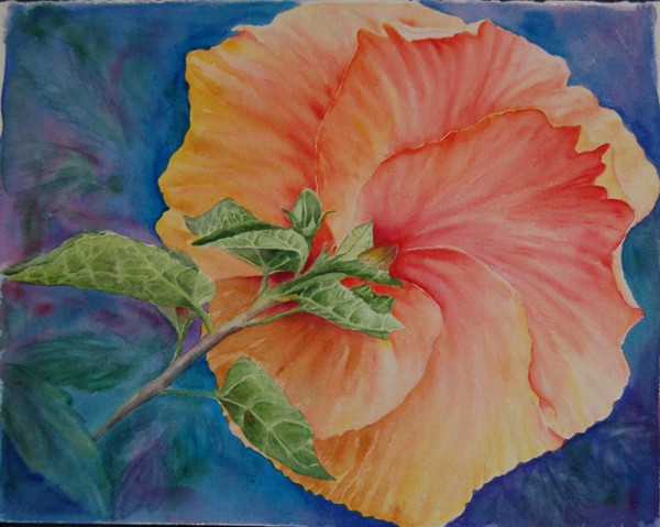 Hibiscus Back