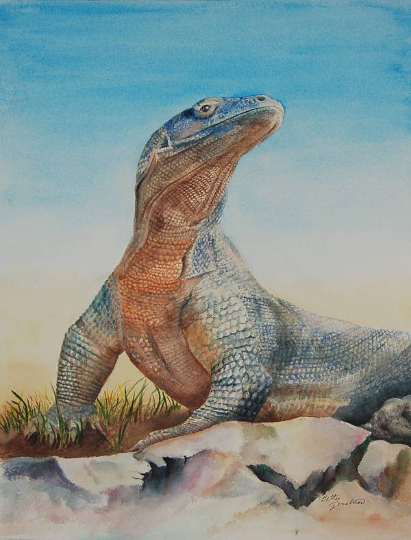 Komodo Dragon
